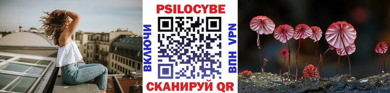 как найти закладки  Нефтекумск  Галлюциногенные грибы Cubensis 