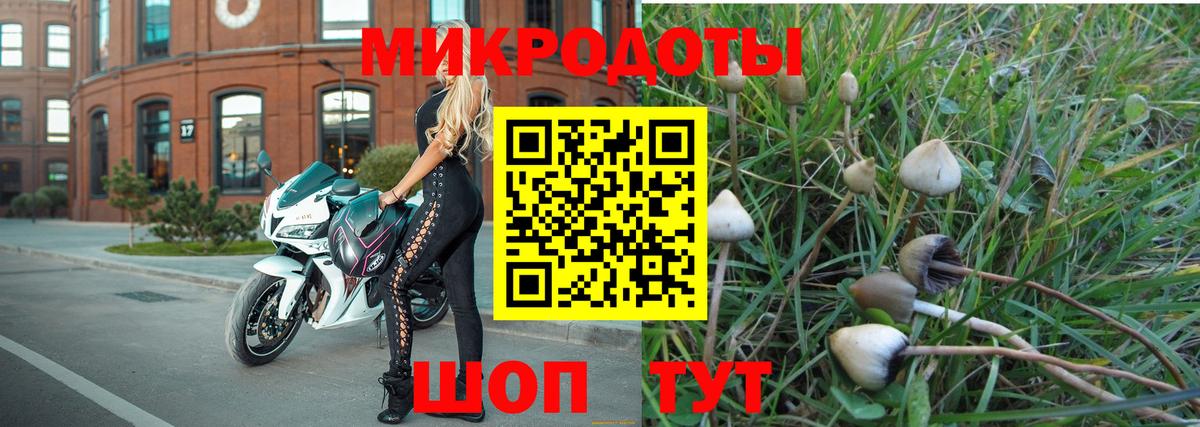 Галлюциногенные грибы Magic Shrooms Нефтекумск
