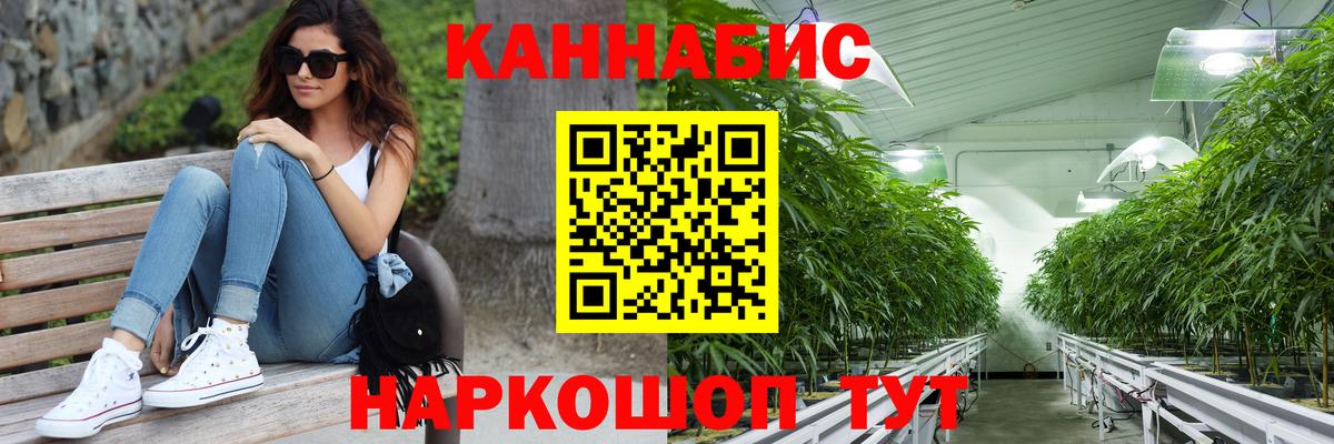 Каннабис конопля  Вход с VPN  МАРИХУАНА планчик  Бошки марихуана конопля  Нефтекумск 